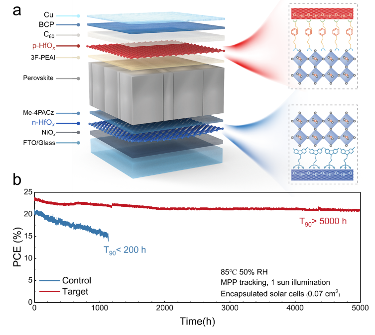 国学者提出原子尺度界面键合提升钙钛矿太阳能电池稳定性